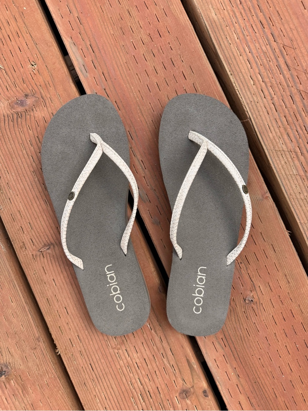 Cobian Women's Brown Sandal Flip Flops with Cream Straps